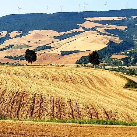 Casa Santa Maria - Beautifully Restored House In Centro Storico Basilicata Puglia *